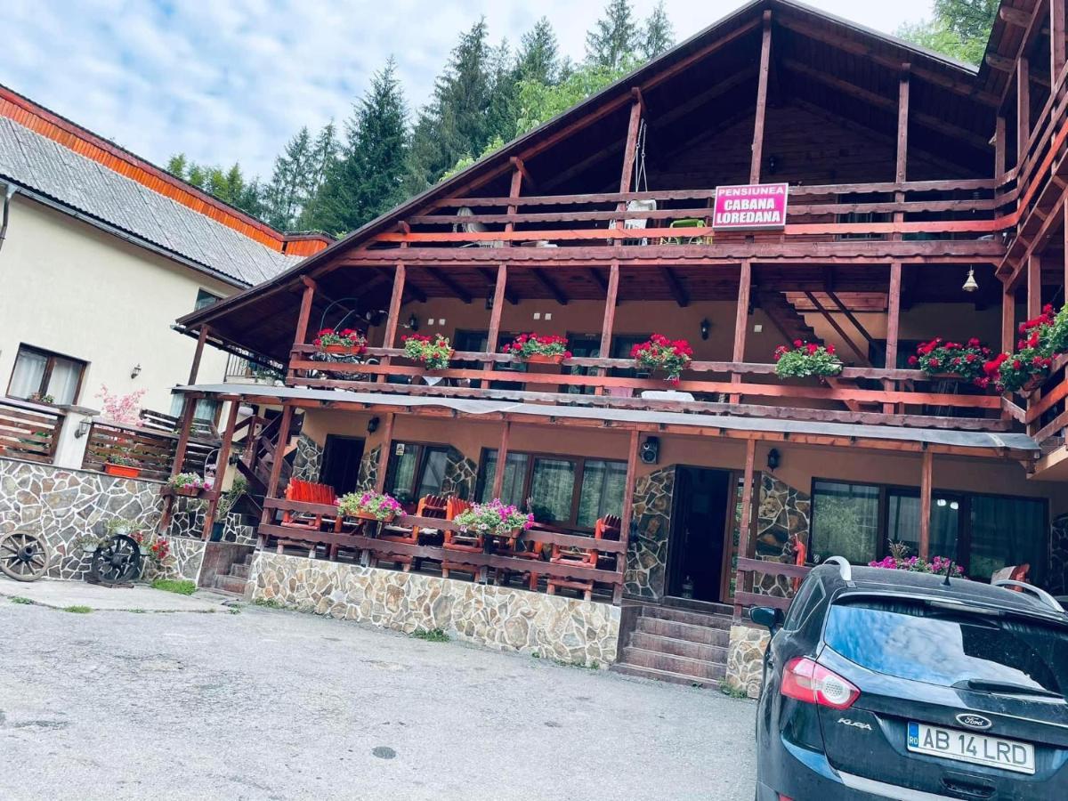 Cabana Loredana Vadu Motilor Bagian luar foto