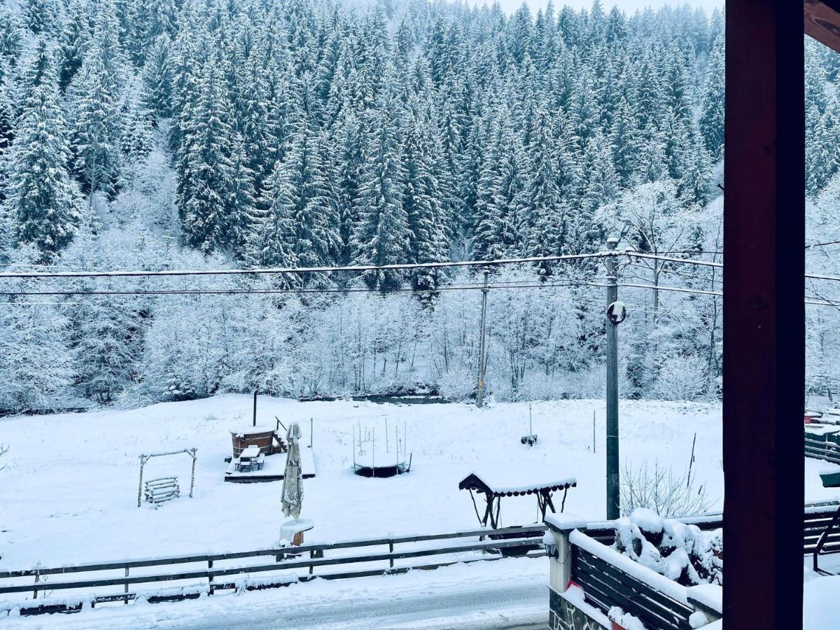 Cabana Loredana Vadu Motilor Bagian luar foto