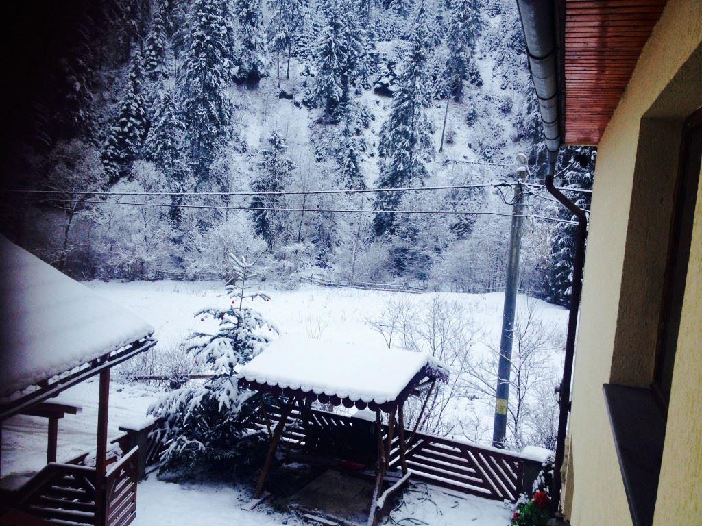 Cabana Loredana Vadu Motilor Bagian luar foto