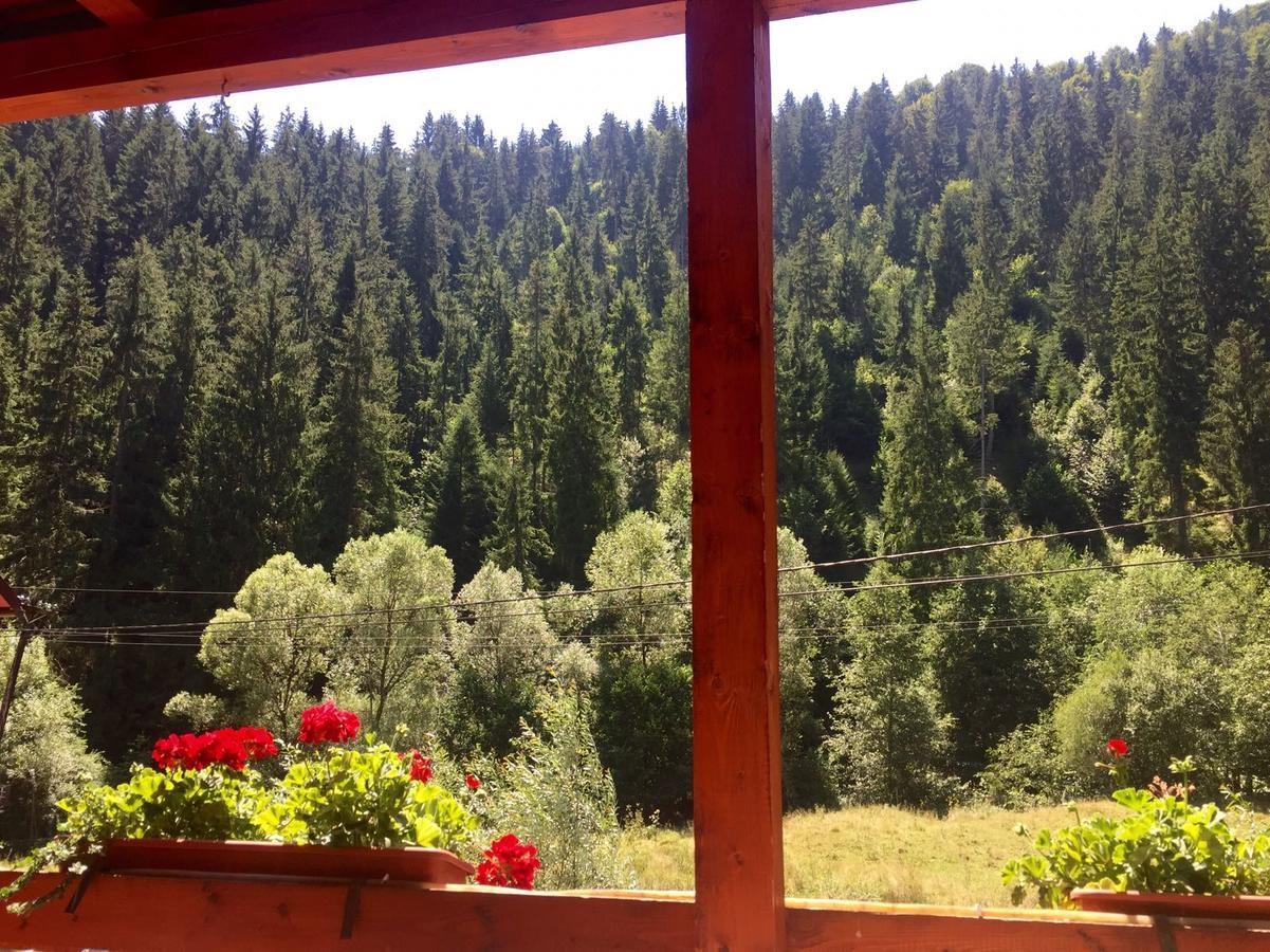 Cabana Loredana Vadu Motilor Bagian luar foto